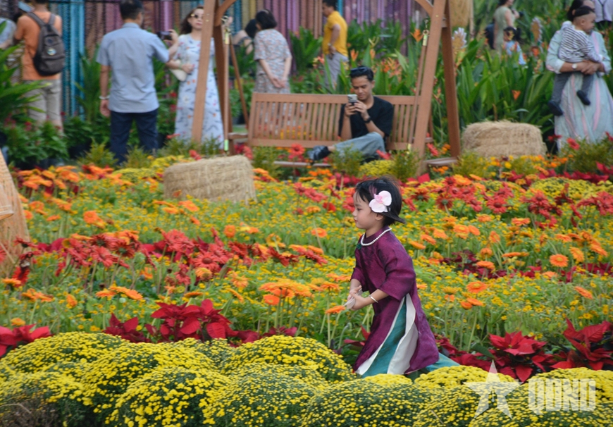 TP Hồ Chí Minh: Người dân thích thú vườn hoa xuân dưới chân cầu Ba Son